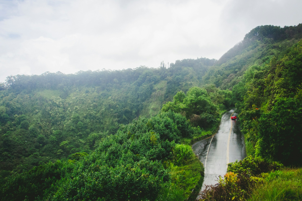 Doing the Road to Hana: A Hawaii Specialist’s Tips
