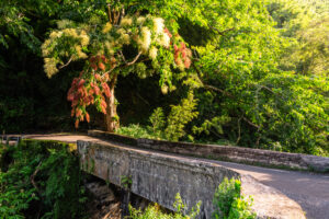 One lane bridge