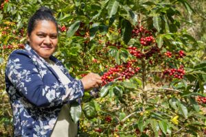 Coffee farm worker