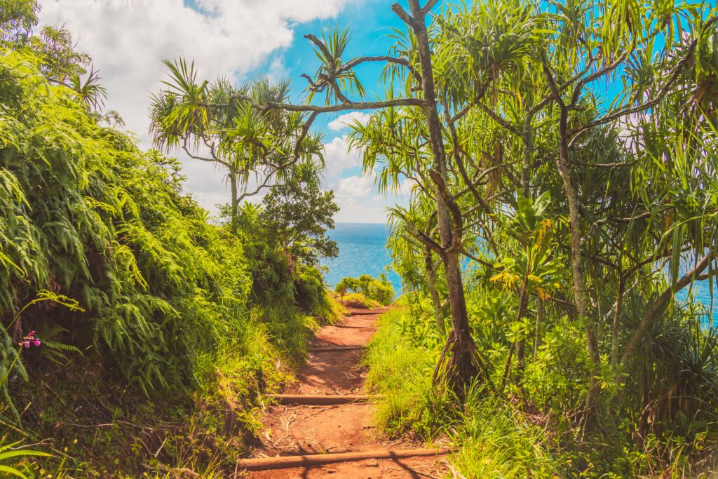 Must Do Hikes in Hawaii