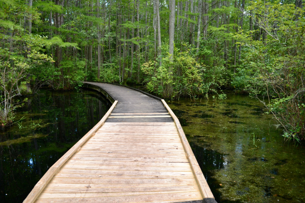 Amazing Places to Visit in Florida Beyond the Theme Parks