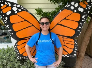 Butterfly wings