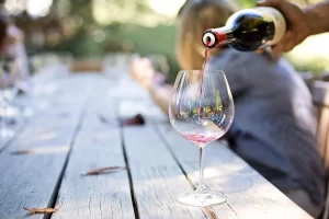 travel to portugal wine