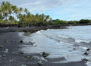 Punalu'u Beach