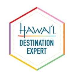 Hexagonal logo with the text HAWAII DESTINATION EXPERT